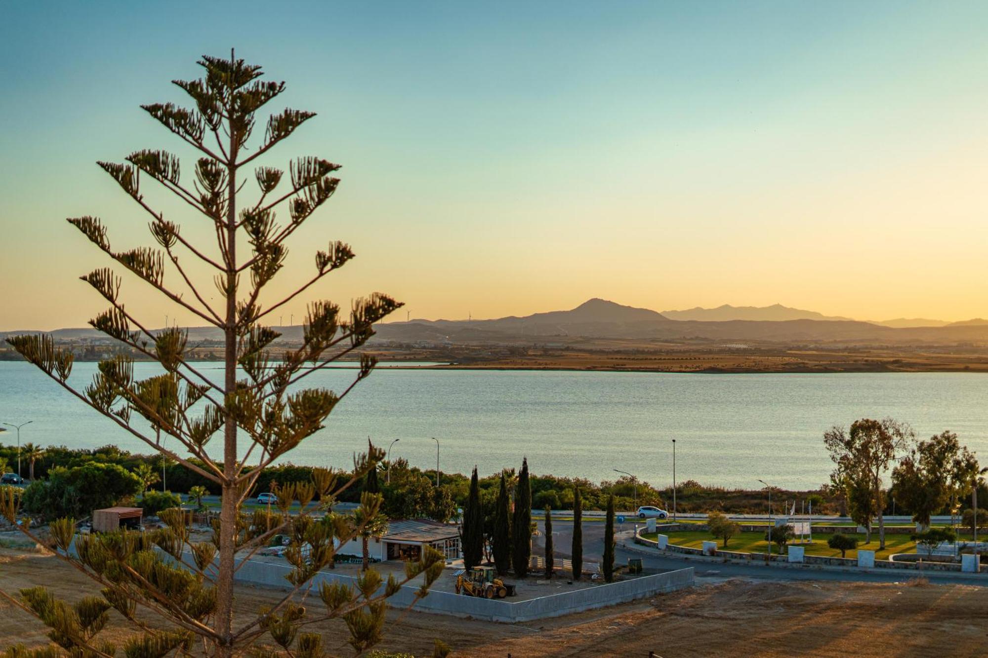 Majestic Sunset Salt Lake Views 300M From Beach ラルナカ エクステリア 写真
